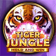 Biểu tượng chat trực tiếp
