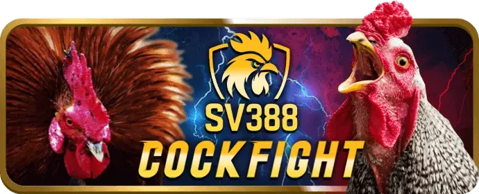 Quản lý tài khoản riêng 123win
